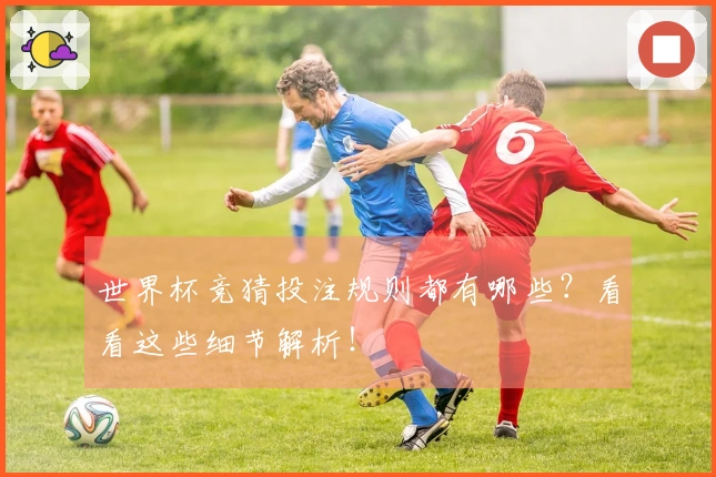 世界杯竞猜投注规则都有哪些？看看这些细节解析！