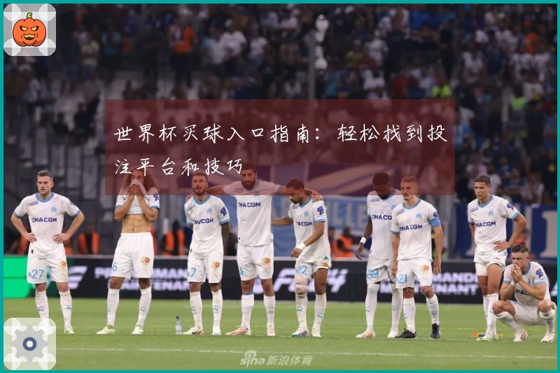 世界杯买球入口指南：轻松找到投注平台和技巧
