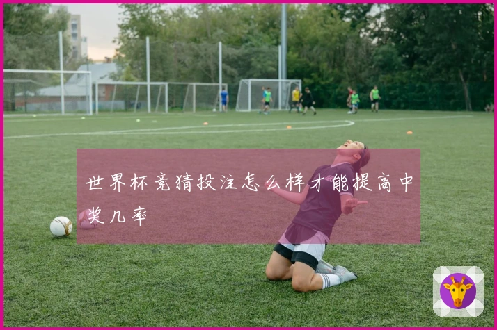 世界杯竞猜投注怎么样才能提高中奖几率