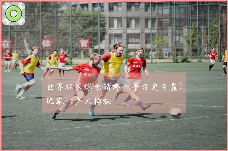 世界杯买球竞猜哪个平台更可靠？玩家心声大揭秘