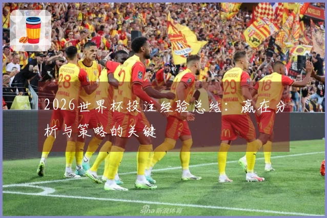 2026世界杯投注经验总结：赢在分析与策略的关键