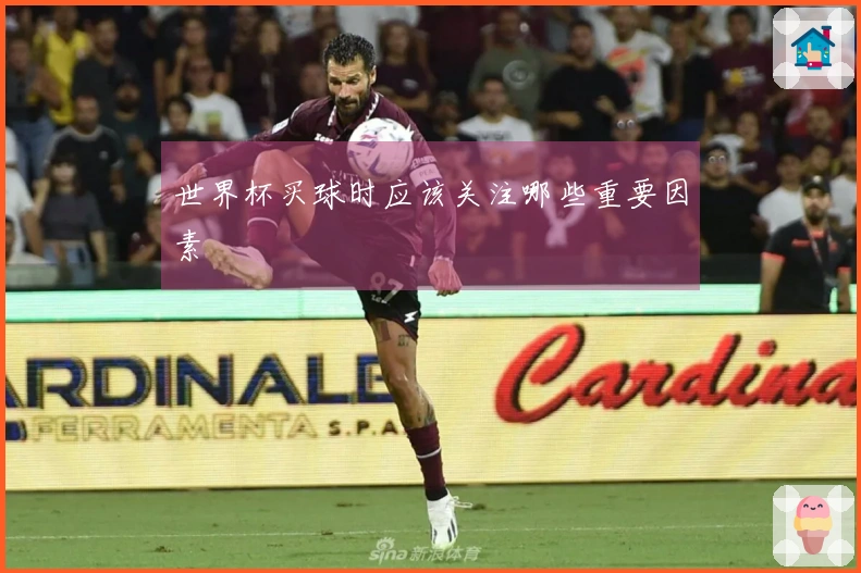 世界杯买球时应该关注哪些重要因素