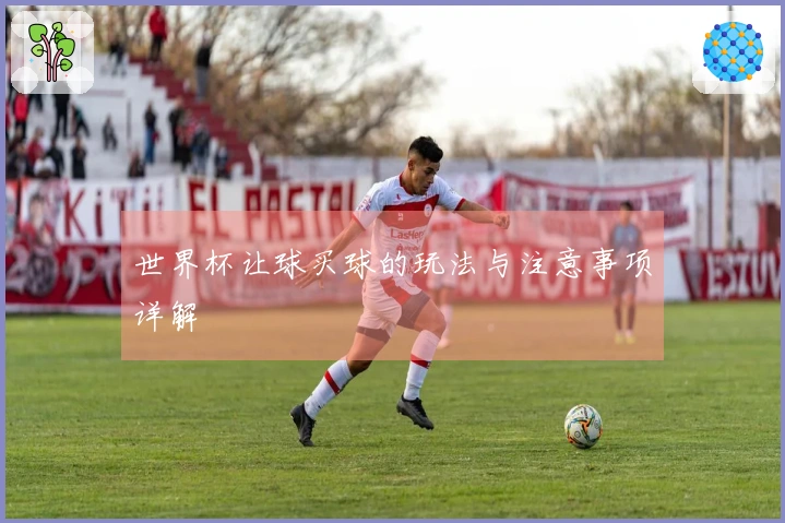 世界杯让球买球的玩法与注意事项详解