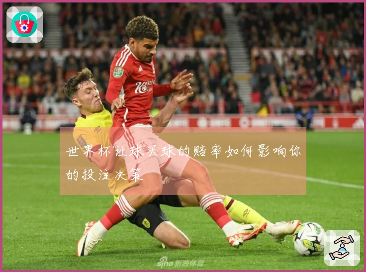 世界杯让球买球的赔率如何影响你的投注决策
