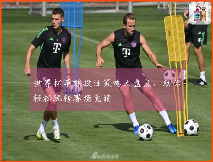 世界杯滚球投注策略大盘点，助你轻松玩转赛场竞猜