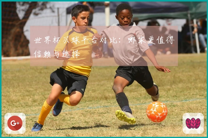世界杯买球平台对比：哪家更值得信赖与选择