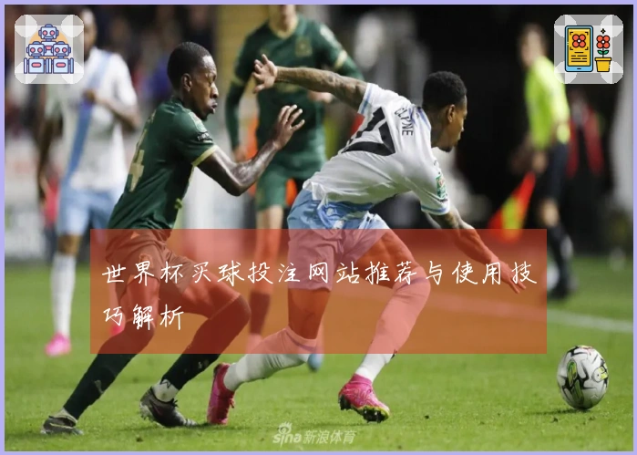 世界杯买球投注网站推荐与使用技巧解析