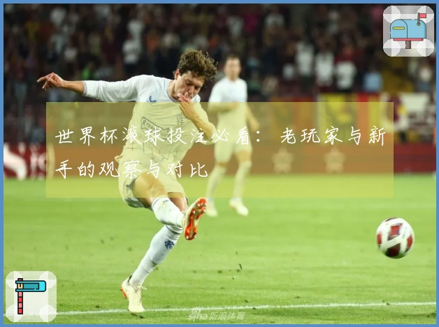 世界杯滚球投注必看：老玩家与新手的观察与对比