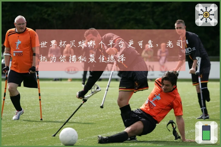 世界杯买球哪个平台更可靠，老司机为你揭秘最佳选择
