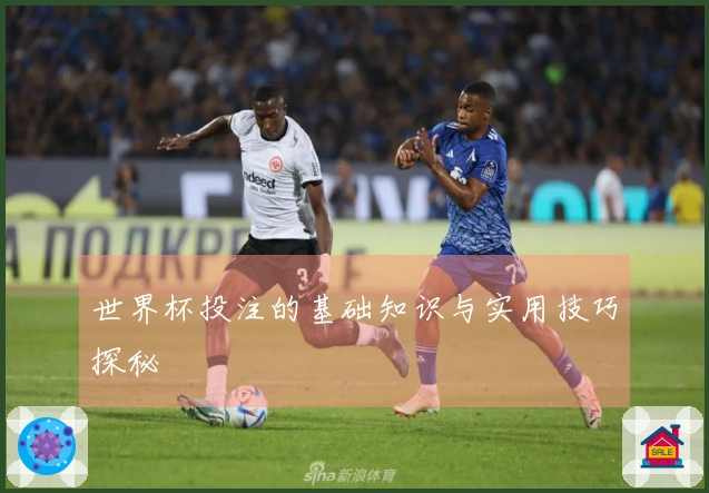 世界杯投注的基础知识与实用技巧探秘