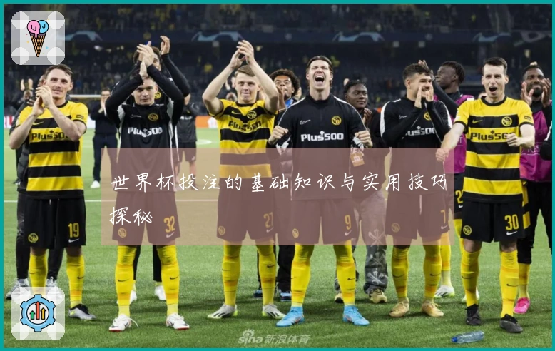 世界杯投注的基础知识与实用技巧探秘