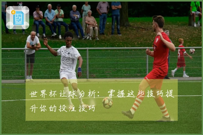 世界杯让球分析：掌握这些技巧提升你的投注技巧