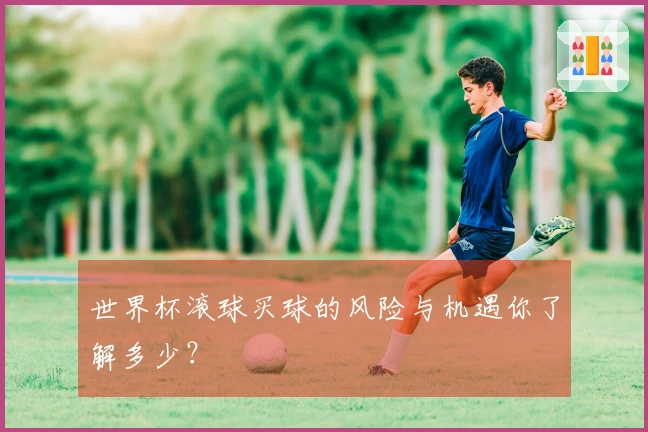 世界杯滚球买球的风险与机遇你了解多少？