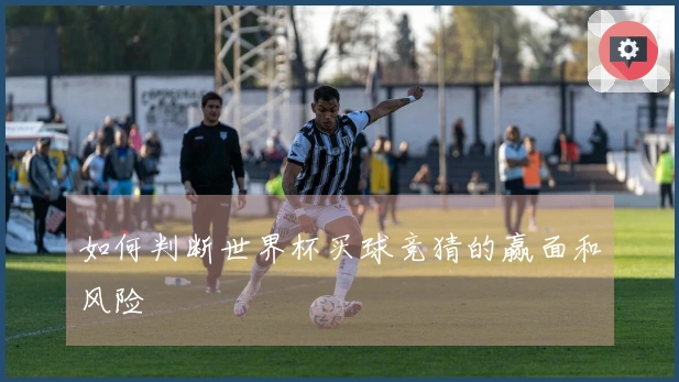 如何判断世界杯买球竞猜的赢面和风险