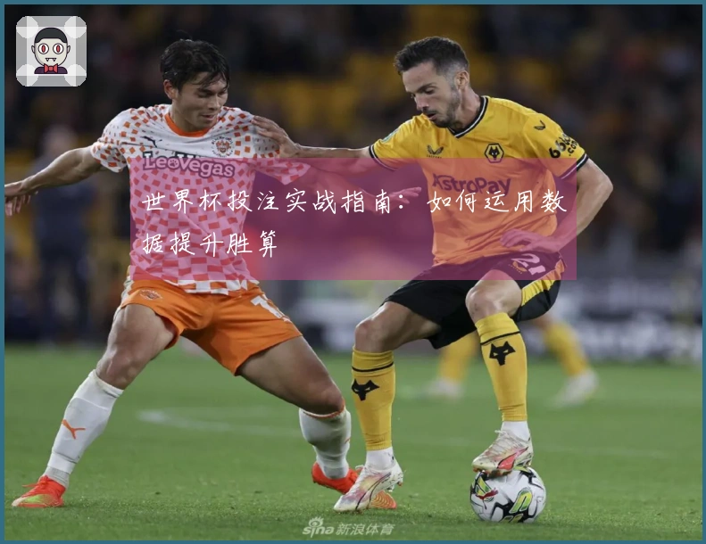 世界杯投注实战指南：如何运用数据提升胜算