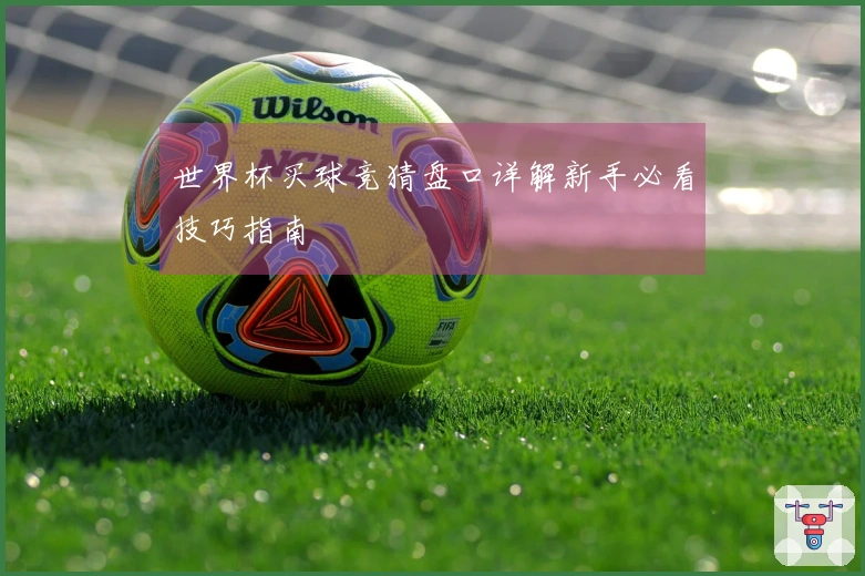 世界杯买球竞猜盘口详解新手必看技巧指南