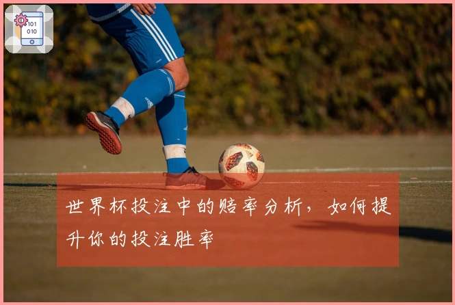 世界杯投注中的赔率分析，如何提升你的投注胜率