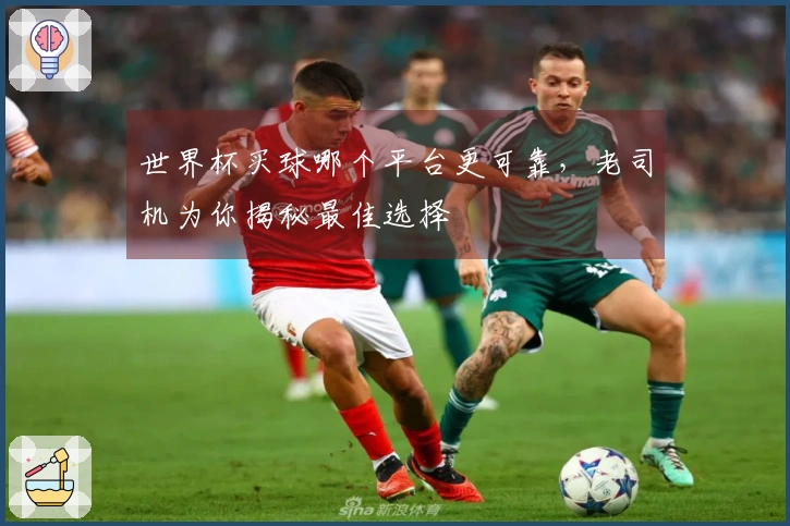 世界杯买球哪个平台更可靠，老司机为你揭秘最佳选择