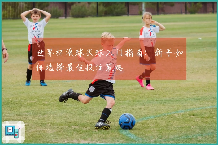 世界杯滚球买球入门指南：新手如何选择最佳投注策略
