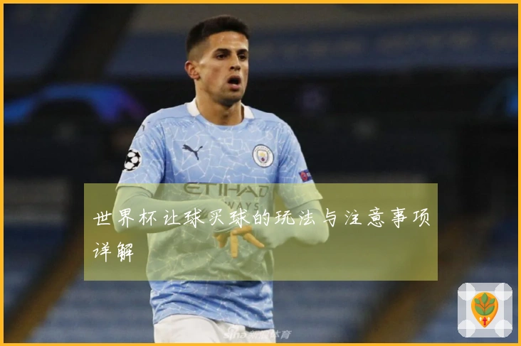 世界杯让球买球的玩法与注意事项详解